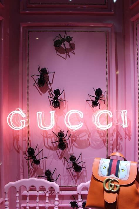 gucci aesthetics